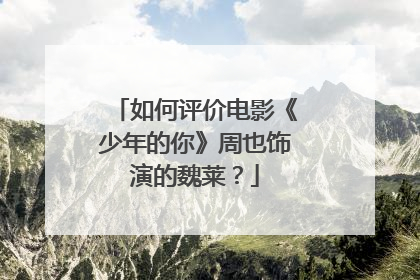 如何评价电影《少年的你》周也饰演的魏莱?