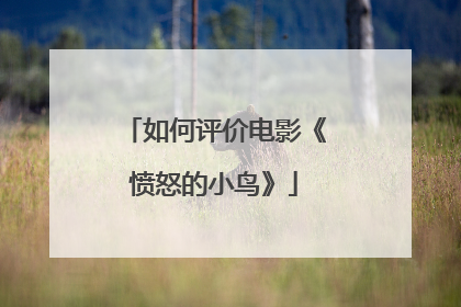 如何评价电影《愤怒的小鸟》