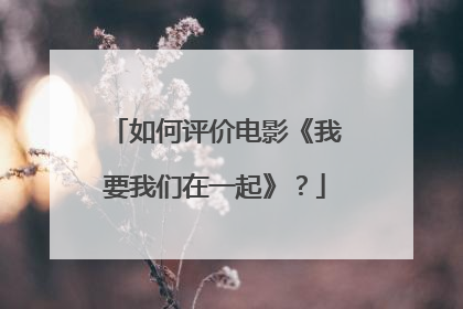 如何评价电影《我要我们在一起》?