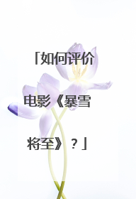 如何评价电影《暴雪将至》？