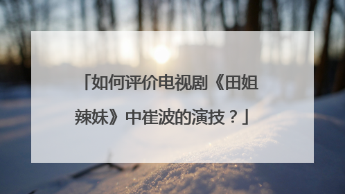 如何评价电视剧《田姐辣妹》中崔波的演技？