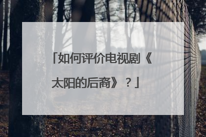 如何评价电视剧《太阳的后裔》？