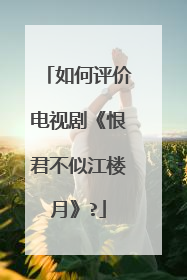 如何评价电视剧《恨君不似江楼月》?