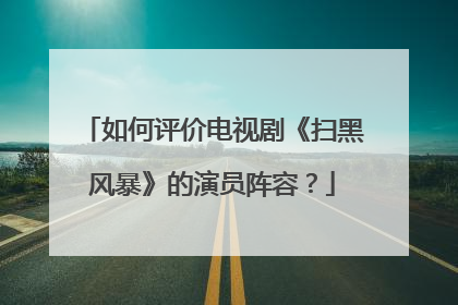 如何评价电视剧《扫黑风暴》的演员阵容？