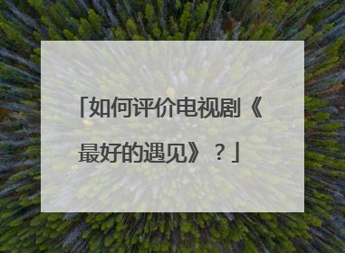 如何评价电视剧《最好的遇见》？