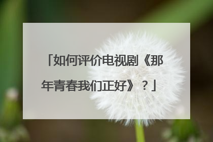 如何评价电视剧《那年青春我们正好》?