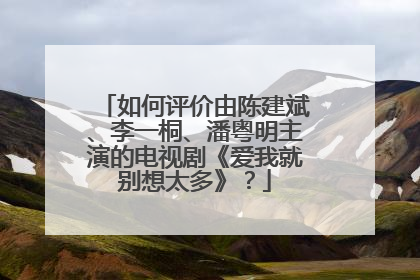 如何评价由陈建斌、李一桐、潘粤明主演的电视剧《爱我就别想太多》?