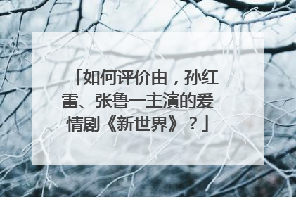 如何评价由,孙红雷、张鲁一主演的爱情剧《新世界》?
