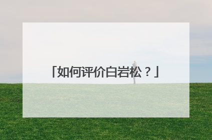 如何评价白岩松？