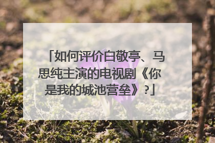 如何评价白敬亭、马思纯主演的电视剧《你是我的城池营垒》?
