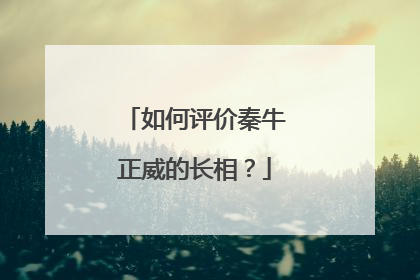 如何评价秦牛正威的长相？