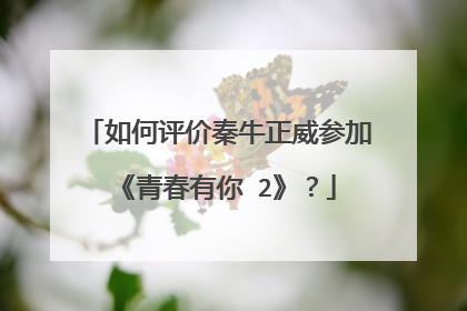 如何评价秦牛正威参加《青春有你 2》？