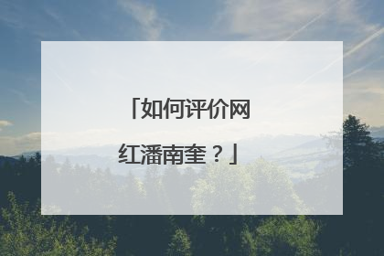 如何评价网红潘南奎?