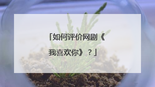 如何评价网剧《我喜欢你》？