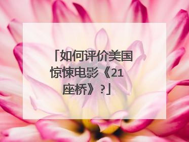 如何评价美国惊悚电影《21座桥》?