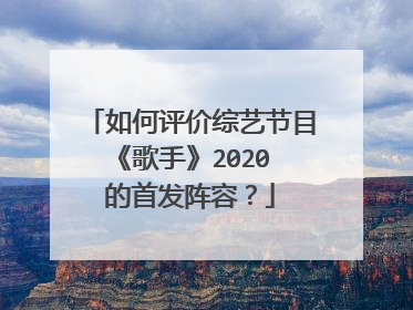 如何评价综艺节目《歌手》2020 的首发阵容?