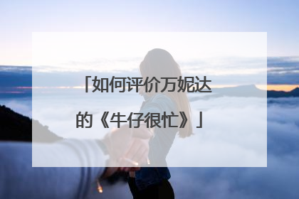 如何评价万妮达的《牛仔很忙》