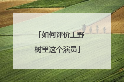 如何评价上野树里这个演员