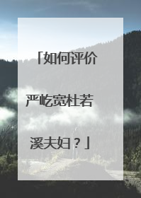 如何评价严屹宽杜若溪夫妇?