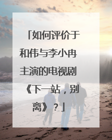 如何评价于和伟与李小冉主演的电视剧《下一站,别离》?