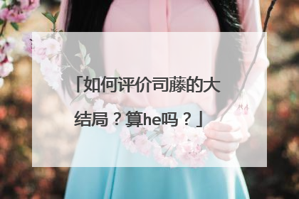 如何评价司藤的大结局?算he吗?