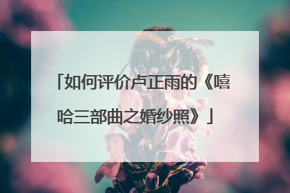 如何评价卢正雨的《嘻哈三部曲之婚纱照》
