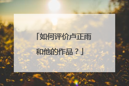 如何评价卢正雨和他的作品?