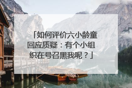 如何评价六小龄童回应质疑：有个小组织在号召黑我呢？