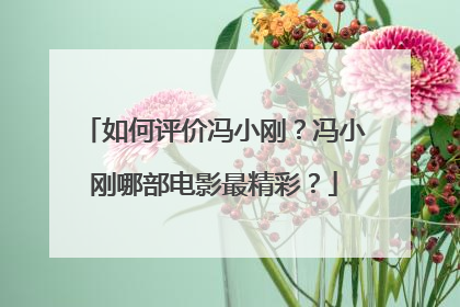 如何评价冯小刚？冯小刚哪部电影最精彩？