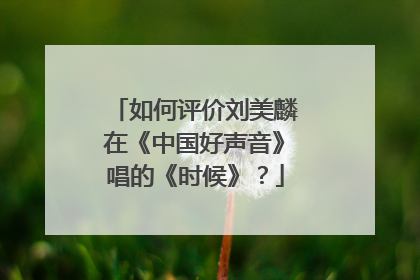 如何评价刘美麟在《中国好声音》唱的《时候》？