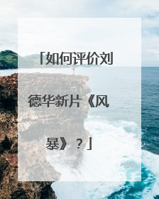 如何评价刘德华新片《风暴》？