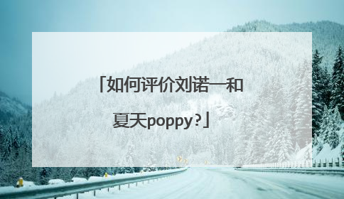 如何评价刘诺一和夏天poppy?