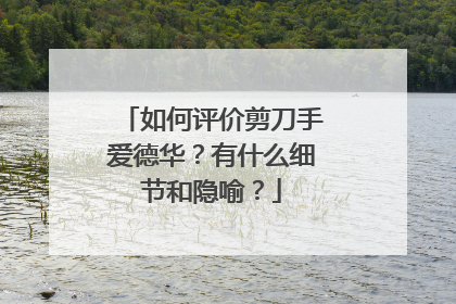 如何评价剪刀手爱德华?有什么细节和隐喻?