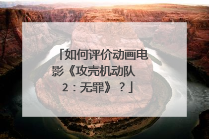 如何评价动画电影《攻壳机动队 2：无罪》？