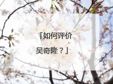 如何评价吴奇隆?