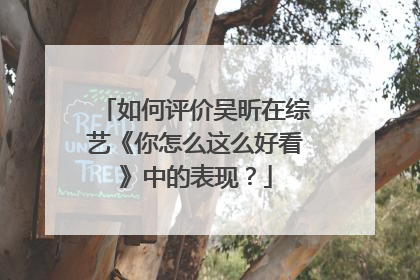如何评价吴昕在综艺《你怎么这么好看》中的表现?