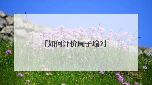 如何评价周子瑜?