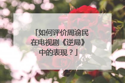 如何评价周渝民在电视剧《逆局》中的表现?