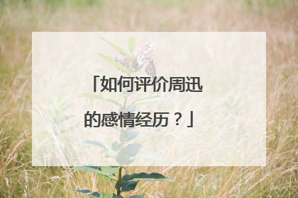 如何评价周迅的感情经历？