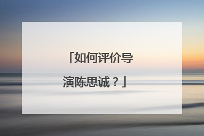 如何评价导演陈思诚?