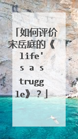 如何评价宋岳庭的《life's a struggle》？