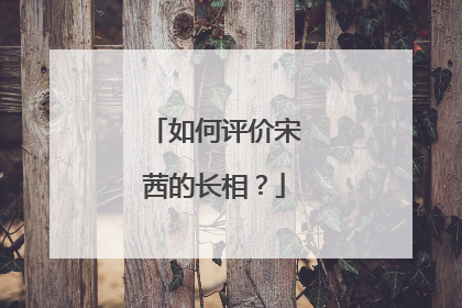 如何评价宋茜的长相?