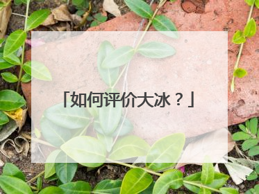 如何评价大冰？