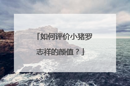 如何评价小猪罗志祥的颜值?