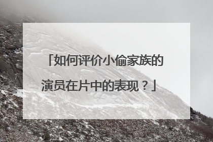 如何评价小偷家族的演员在片中的表现？