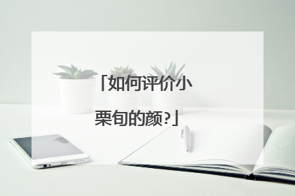 如何评价小栗旬的颜?