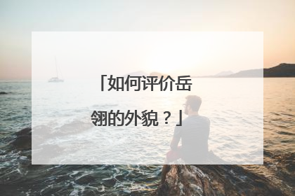 如何评价岳翎的外貌？