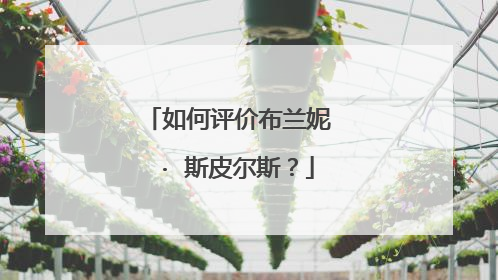 如何评价布兰妮 · 斯皮尔斯？
