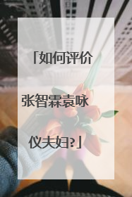 如何评价张智霖袁咏仪夫妇?