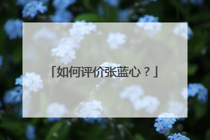 如何评价张蓝心？
